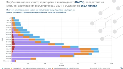 Всеки трети българин с мозъчен проблем